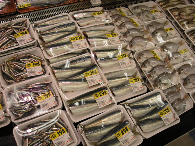 fishes.JPG