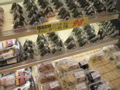 onigiri.JPG