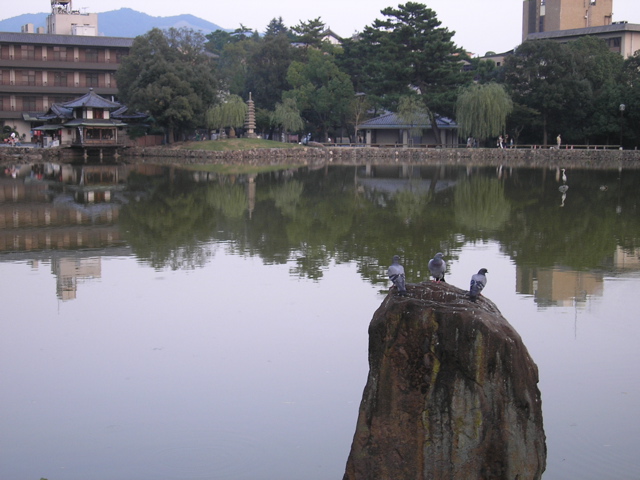 P9220110.JPG
