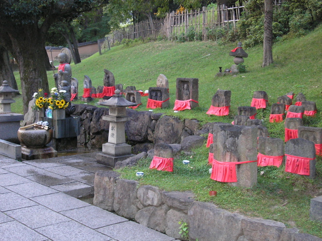 P9220112.JPG