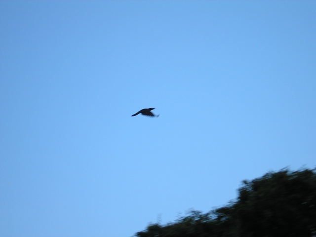 P9220115.JPG