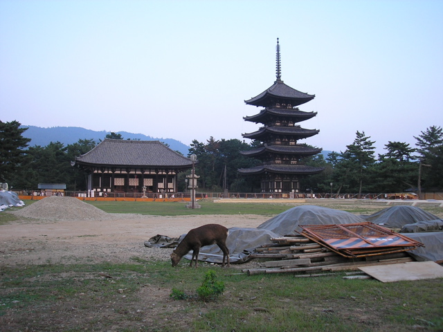 P9220121.JPG