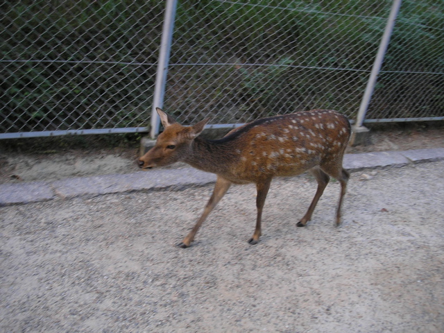 P9220135.JPG