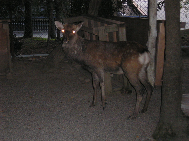 P9220138.JPG