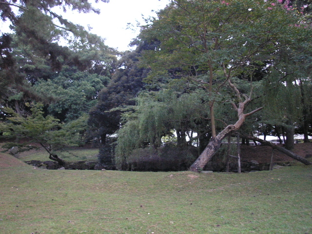 P9220139.JPG