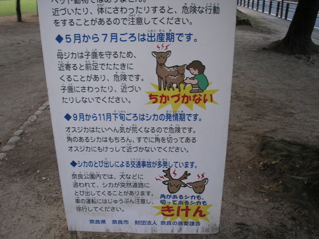 P9220141.JPG