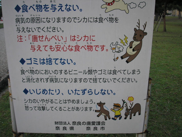 P9220142.JPG