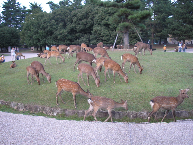 P9220143.JPG