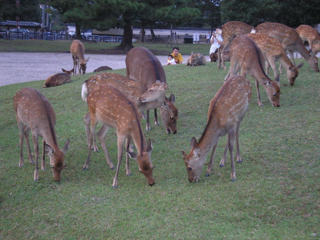 P9220144.JPG