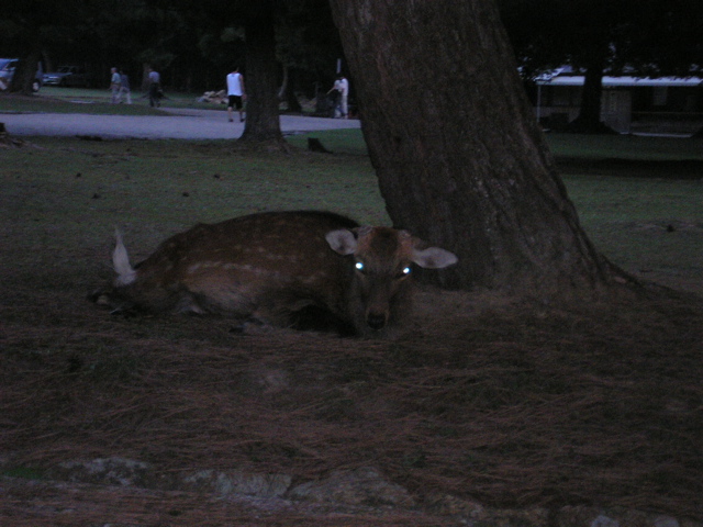 P9220145.JPG