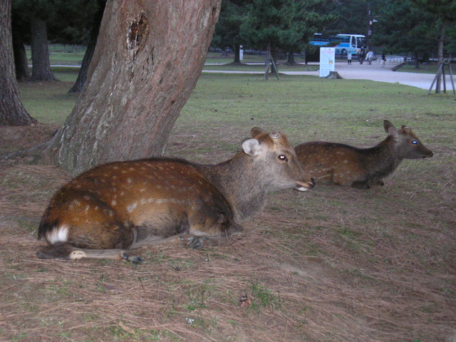 P9220147.JPG