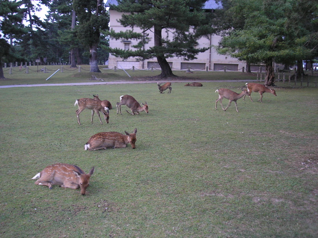 P9220148.JPG