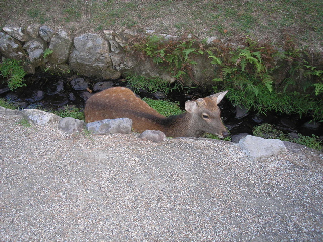 P9220149.JPG