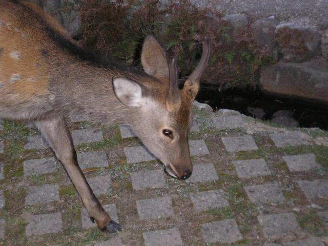P9220151.JPG