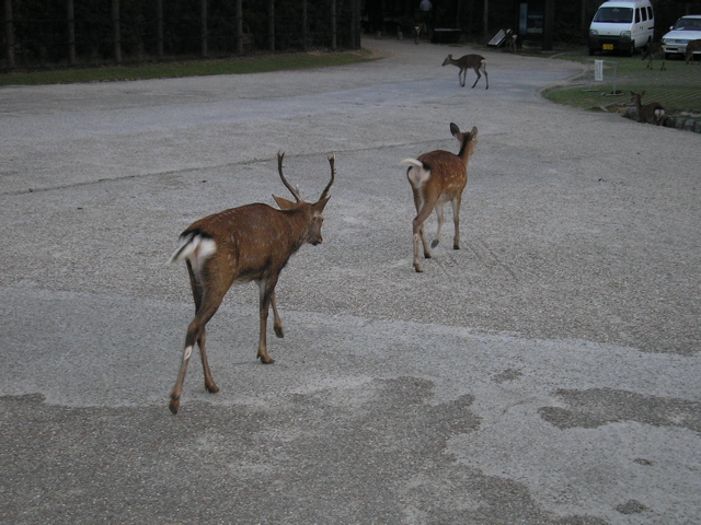 P9220152.JPG