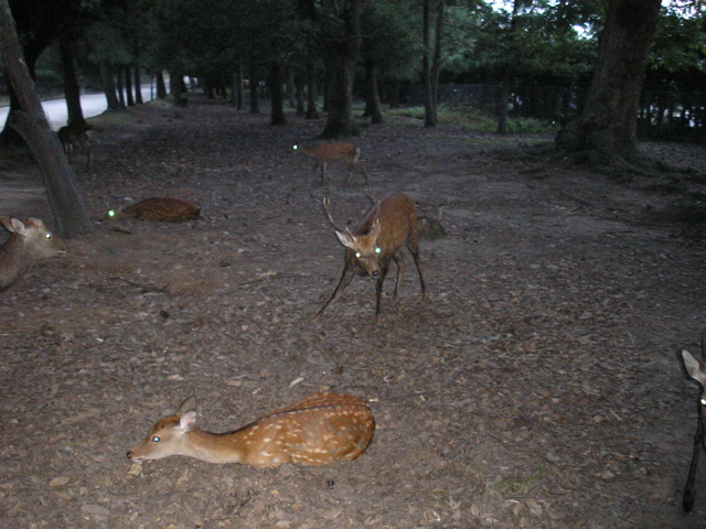 P9220154.JPG