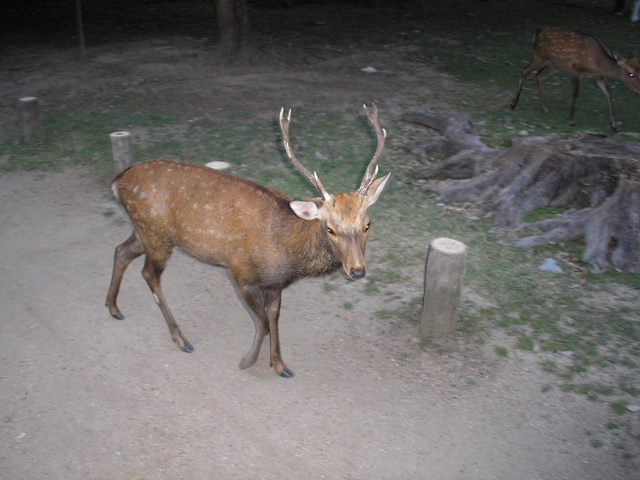 P9220155.JPG