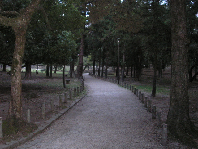 P9220157.JPG