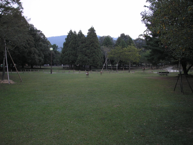 P9220159.JPG