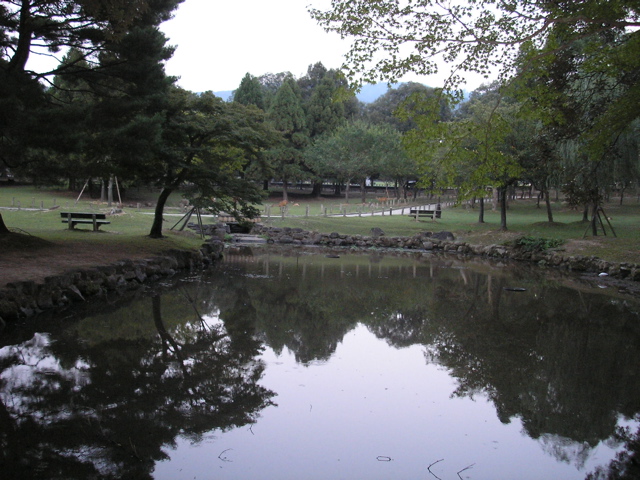 P9220161.JPG