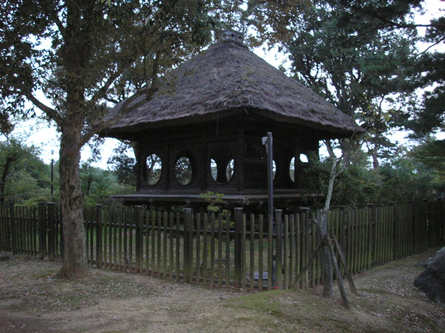 P9220163.JPG