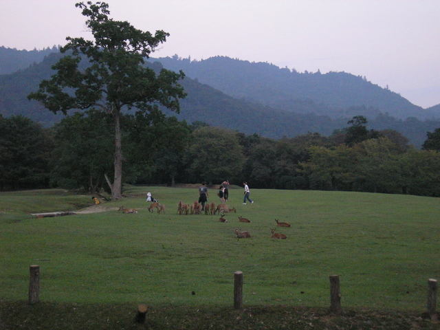 P9220165.JPG