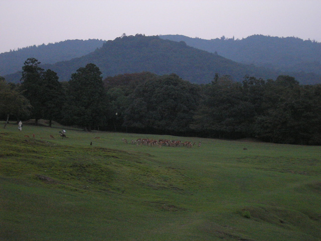 P9220168.JPG