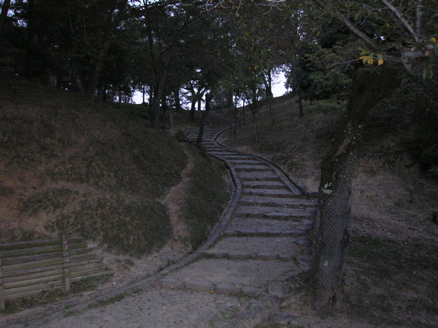 P9220174.JPG