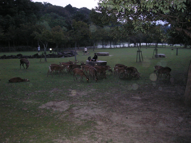 P9220175.JPG