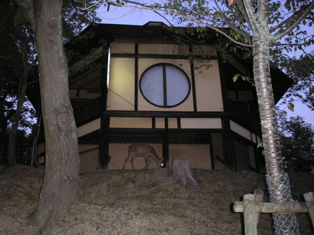 P9220177.JPG