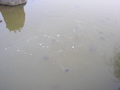 P9220109.JPG