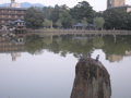 P9220110.JPG