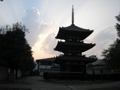 P9220114.JPG