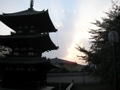 P9220117.JPG
