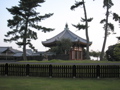 P9220119.JPG