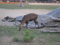 P9220120.JPG