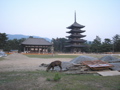 P9220121.JPG