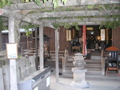 P9220124.JPG