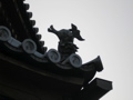 P9220126.JPG