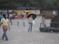 P9220133.JPG