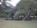 P9220139.JPG