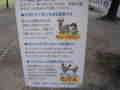 P9220141.JPG