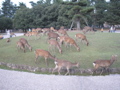 P9220143.JPG