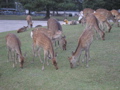 P9220144.JPG