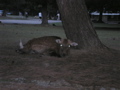 P9220145.JPG