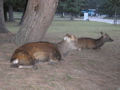 P9220147.JPG