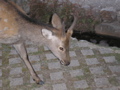 P9220151.JPG