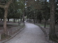 P9220157.JPG