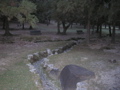 P9220158.JPG