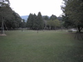 P9220159.JPG